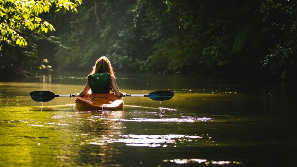 Quels sont les meilleurs itinéraires pour une aventure en kayak sur le fleuve Zambèze, Zambie?