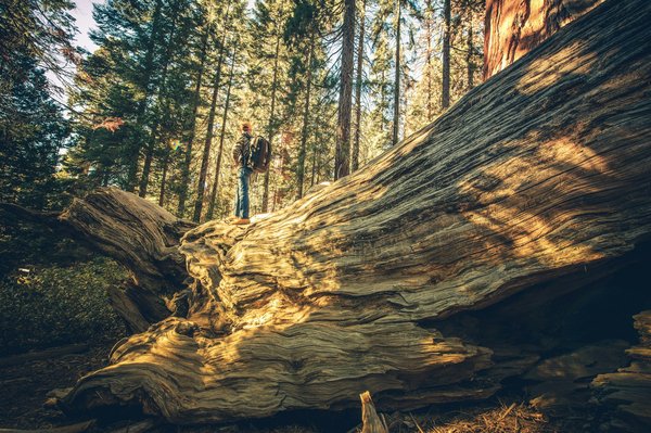 Quels sont les meilleurs conseils pour explorer les parcs nationaux en Australie ?